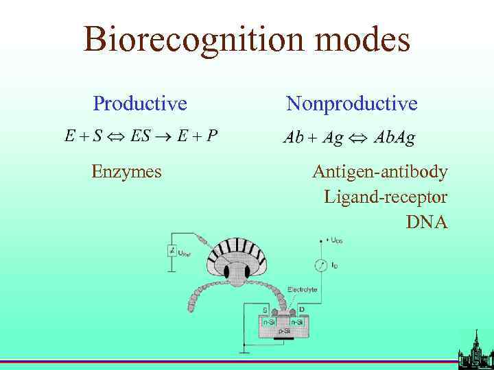 Biorecognition modes Productive Enzymes Nonproductive Antigen-antibody Ligand-receptor DNA 