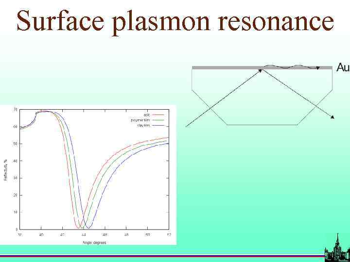 Surface plasmon resonance 