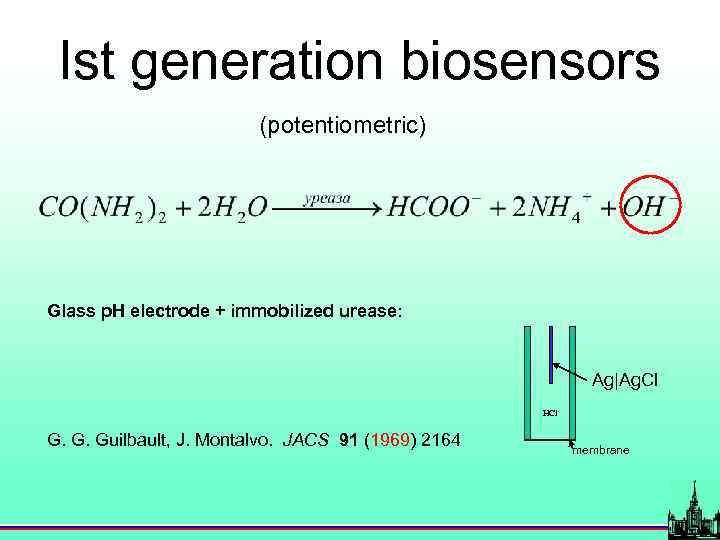 Ist generation biosensors (potentiometric) Glass p. H electrode + immobilized urease: Ag|Ag. Cl HCl