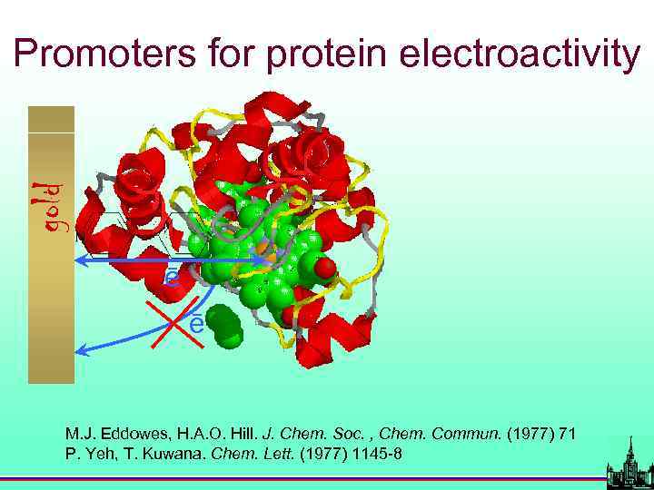 gold Promoters for protein electroactivity ē ē M. J. Eddowes, H. A. O. Hill.