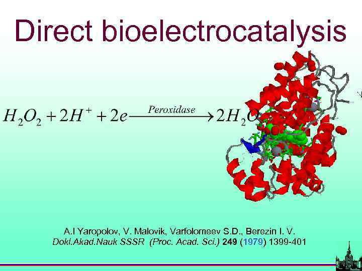 Direct bioelectrocatalysis A. I Yaropolov, V. Malovik, Varfolomeev S. D. , Berezin I. V.