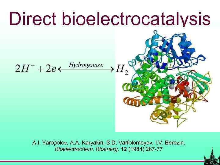 Direct bioelectrocatalysis A. I. Yaropolov, A. A. Karyakin, S. D. Varfolomeyev, I. V. Berezin.