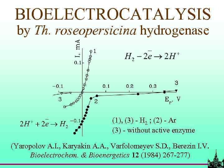 BIOELECTROCATALYSIS by Th. roseopersicina hydrogenase (1), (3) - H 2 ; (2) - Ar