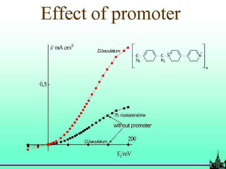 Effect of promoter 