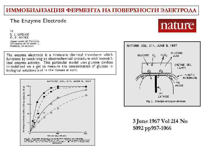 ИММОБИЛИЗАЦИЯ ФЕРМЕНТА НА ПОВЕРХНОСТИ ЭЛЕКТРОДА 3 June 1967 Vol 214 No 5092 pp 957