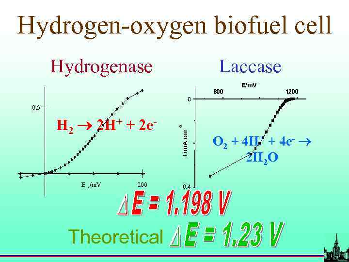 Hydrogen-oxygen biofuel cell Hydrogenase Laccase 800 E/m. V 1200 0 E r /m. V