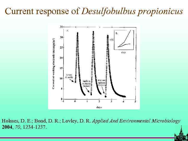 Current response of Desulfobulbus propionicus Holmes, D. E. ; Bond, D. R. ; Lovley,