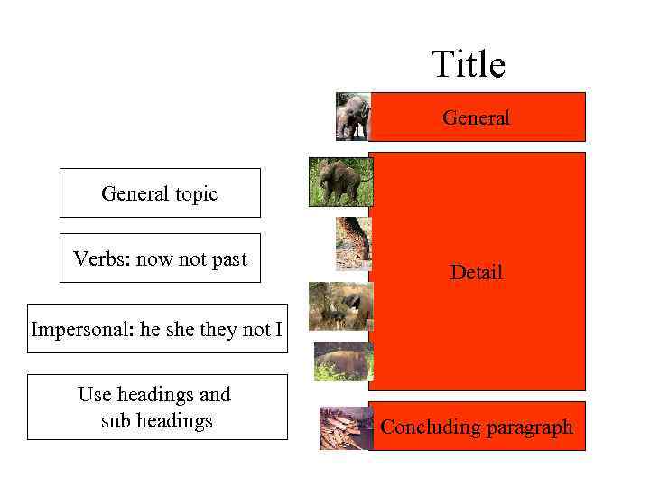 Title General topic Verbs: now not past Detail Impersonal: he she they not I