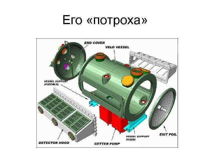 Его «потроха» 