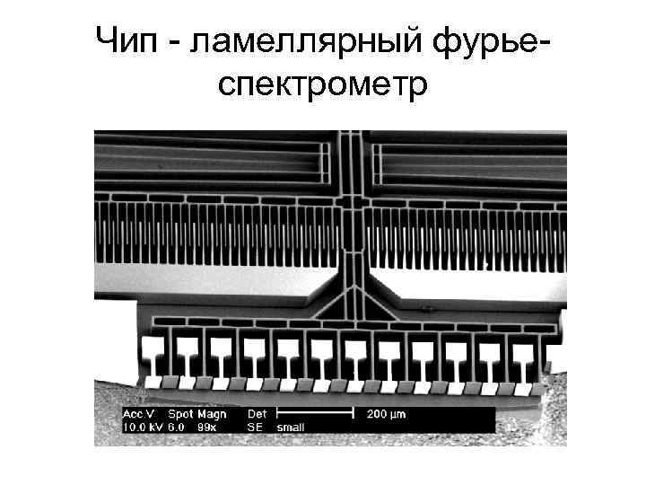Чип - ламеллярный фурьеспектрометр 