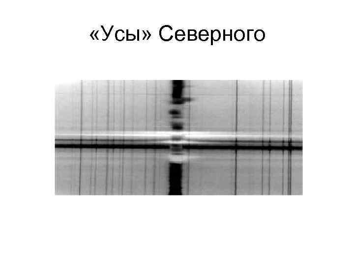  «Усы» Северного 