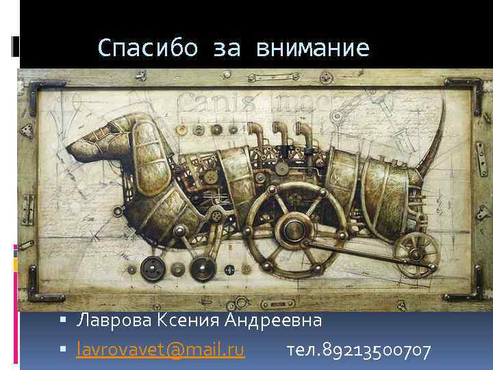 Спасибо за внимание Лаврова Ксения Андреевна lavrovavet@mail. ru тел. 89213500707 