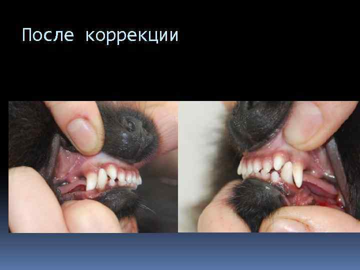 После коррекции 