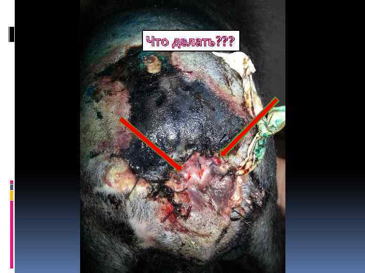 Что делать? ? ? 