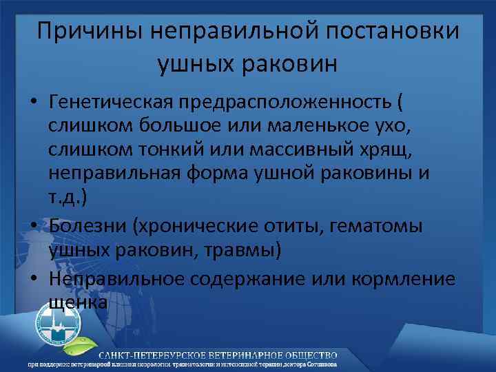 Причины неправильной постановки ушных раковин • Генетическая предрасположенность ( слишком большое или маленькое ухо,