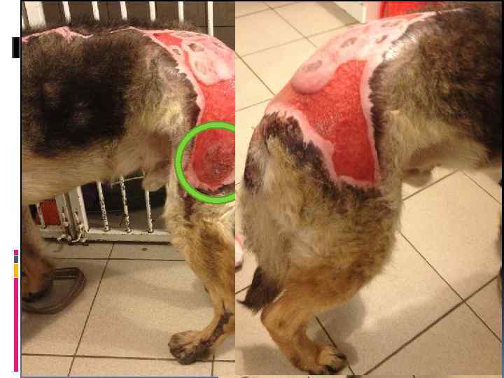 Через 2 месяца 