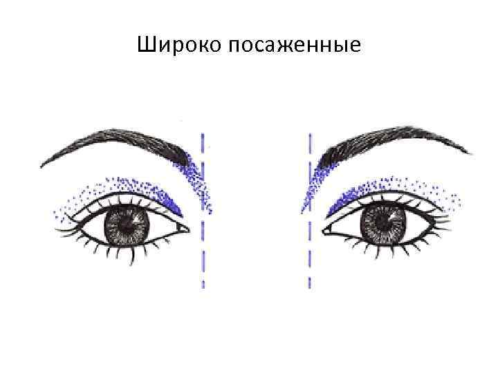 Схема глаза для наращивания. Широкая посадка глаз. Типы расположения глаз. Схемы макияжа для разных форм глаз. Широко поставленные глаза схема.