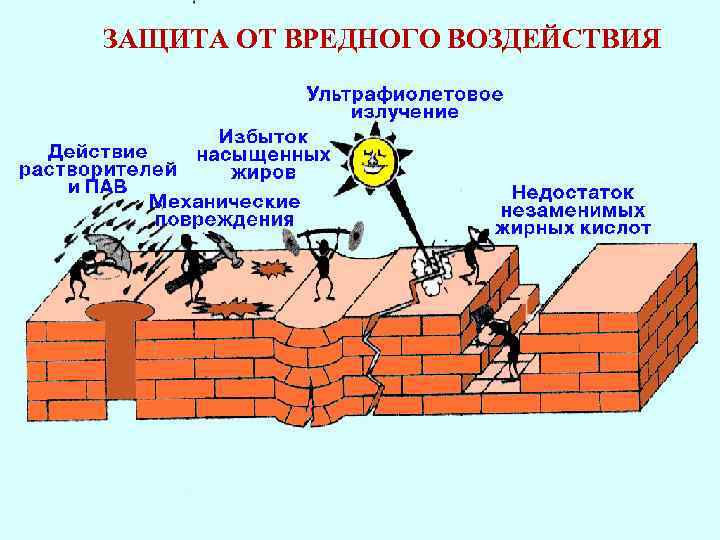 ЗАЩИТА ОТ ВРЕДНОГО ВОЗДЕЙСТВИЯ 