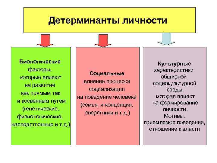 Детерминанты личности Биологические факторы, которые влияют на развитие как прямым так и косвенным путем