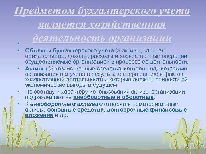 Предметом бухгалтерского учета является хозяйственная деятельность организации • . • Объекты бухгалтерского учета ¾