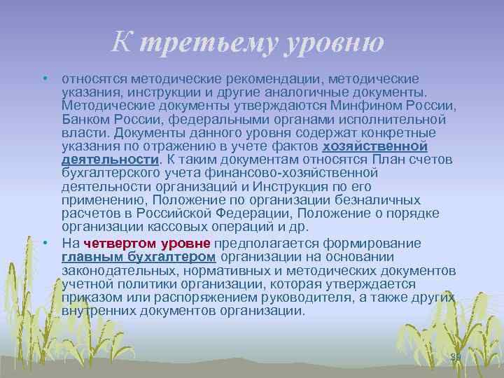 К третьему уровню • относятся методические рекомендации, методические указания, инструкции и другие аналогичные документы.