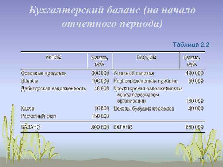 Бухгалтерский баланс (на начало отчетного периода) Таблица 2. 2 44 