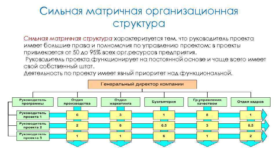 Полномочия руководителя проекта в сильной матричной структуре