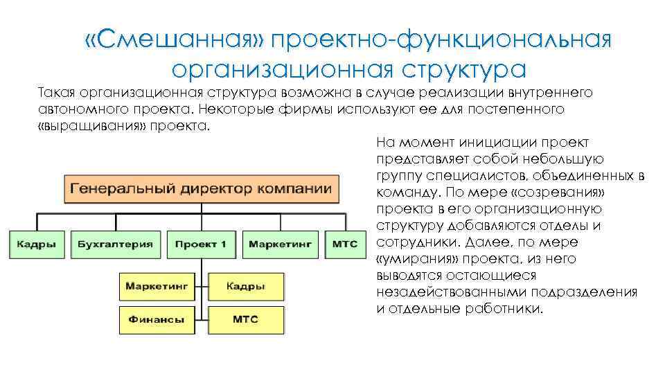  «Смешанная» проектно-функциональная организационная структура Такая организационная структура возможна в случае реализации внутреннего автономного