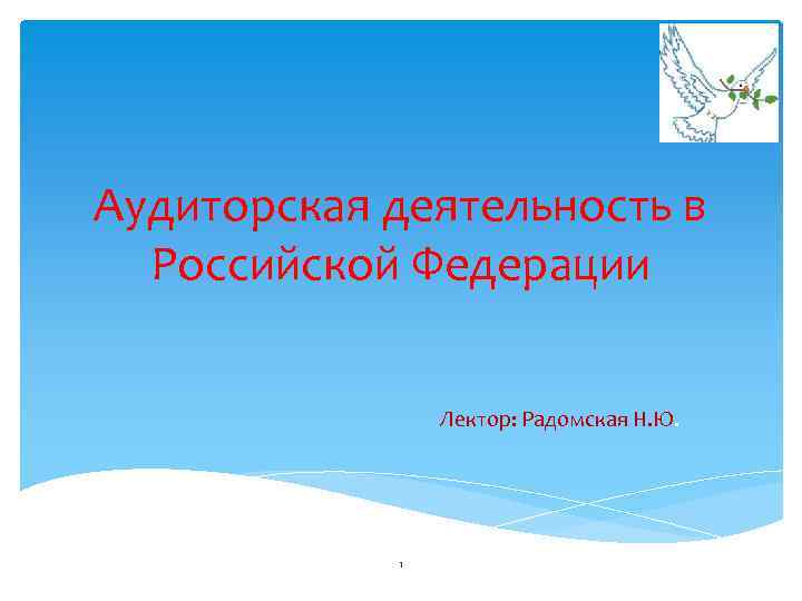 Аудиторская деятельность в Российской Федерации Лектор: Радомская Н. Ю. 1 
