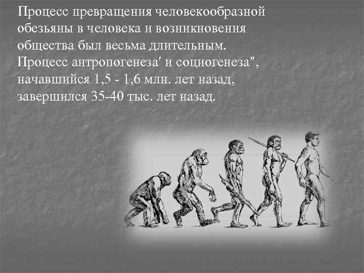 Процесс превращения. Возникновение человеческого общества. Процесс превращения обезьяны в человека. Антропогенез социогенез политогенез. Появление человеческих общностей.