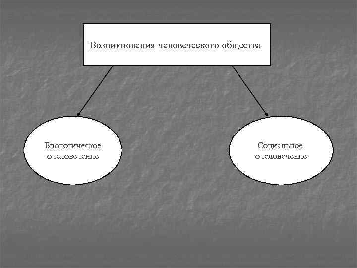 Возникновения человеческого общества Биологическое очеловечение Социальное очеловечение 