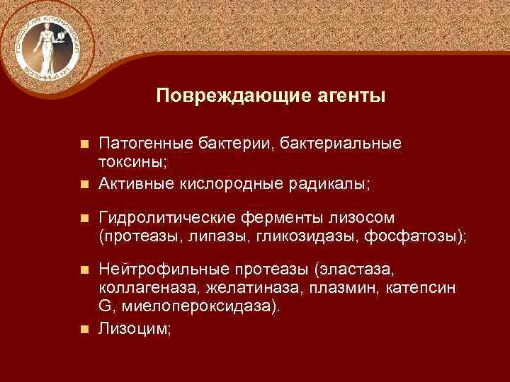 Повреждающие агенты Патогенные бактерии, бактериальные токсины; n Активные кислородные радикалы; n n Гидролитические ферменты