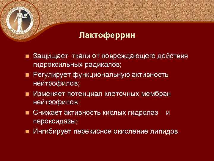 Лактоферрин n n n Защищает ткани от повреждающего действия гидроксильных радикалов; Регулирует функциональную активность