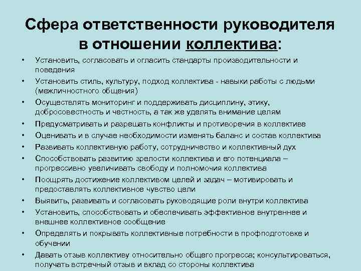 Руководитель интернет проекта обязанности