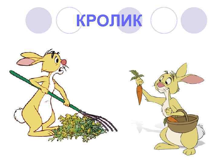 КРОЛИК 