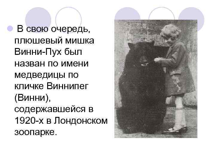 l В свою очередь, плюшевый мишка Винни-Пух был назван по имени медведицы по кличке