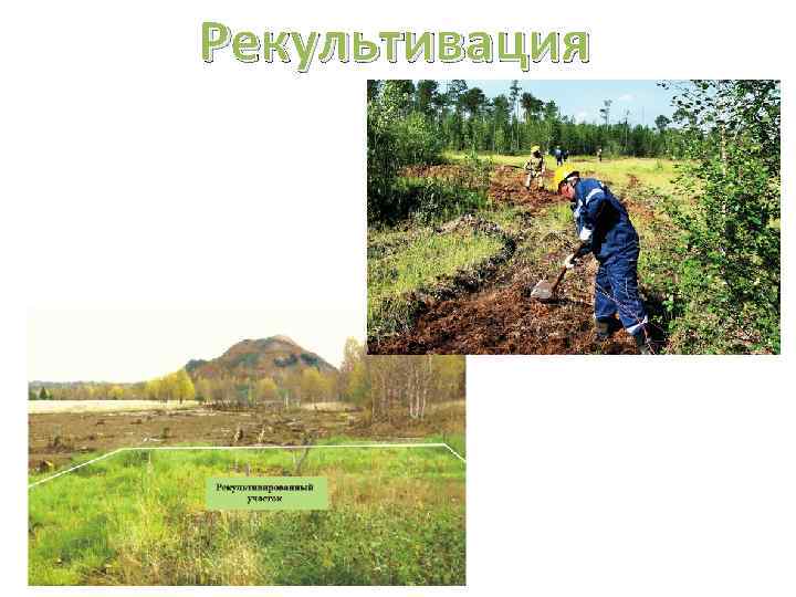 Рекультивация 