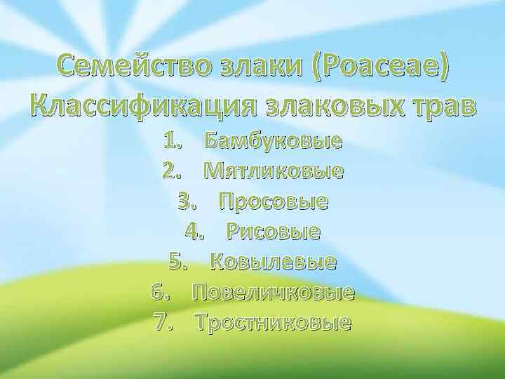 Семейство злаки (Роасеае) Классификация злаковых трав 1. Бамбуковые 2. Мятликовые 3. Просовые 4. Рисовые