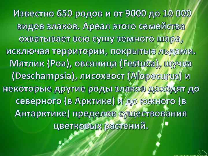  Известно 650 родов и от 9000 до 10 000 видов злаков. Ареал этого