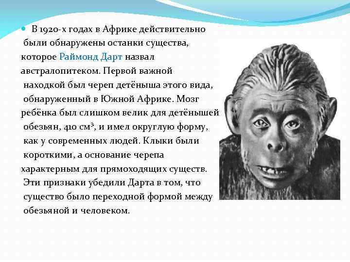  В 1920 -х годах в Африке действительно были обнаружены останки существа, которое Раймонд