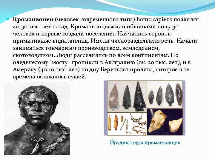  Кроманьонец (человек современного типа) homo sapiens появился 40 -30 тыс. лет назад. Кроманьонцы