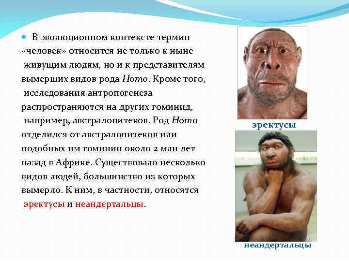  В эволюционном контексте термин «человек» относится не только к ныне живущим людям, но
