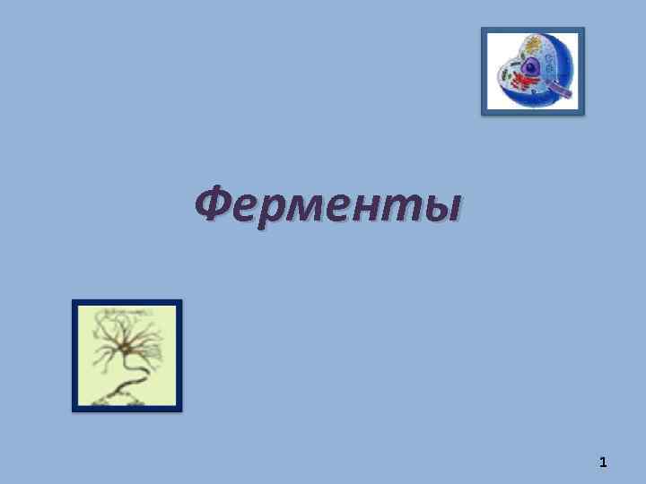 Ферменты 1 