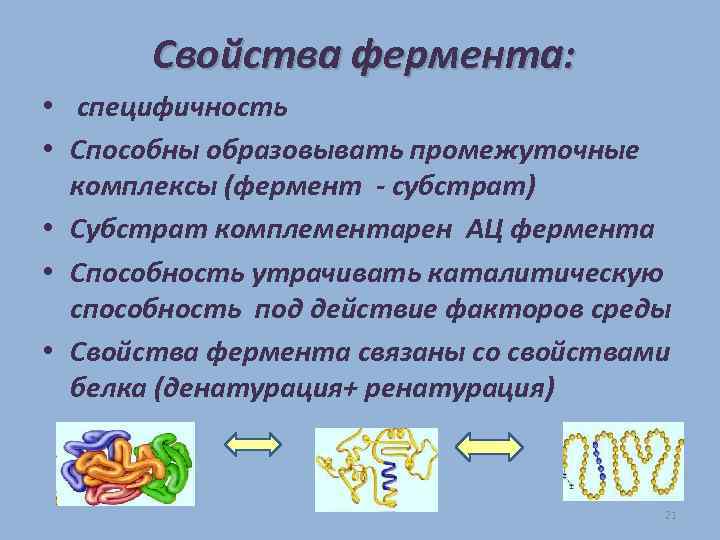 Свойства фермента: • специфичность • Способны образовывать промежуточные комплексы (фермент - субстрат) • Субстрат