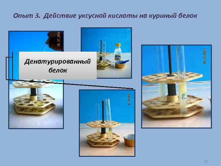 Опыт 3. Действие уксусной кислоты на куриный белок Денатурированный белок 25 