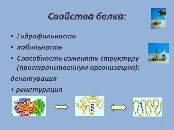 Свойства белка: • Гидрофильность • лабильность • Способность изменять структуру (пространственную организацию): денатурация +