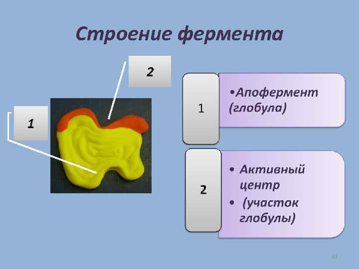 Строение фермента 2 1 33 