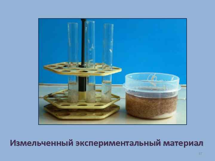 Измельченный экспериментальный материал 37 