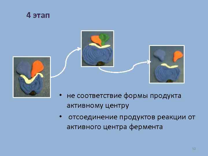 4 этап • не соответствие формы продукта активному центру • отсоединение продуктов реакции от
