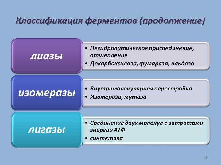 Классификация ферментов (продолжение) 53 
